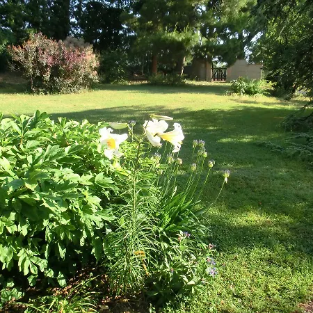 Nocleg ze śniadaniem Lieti Colli