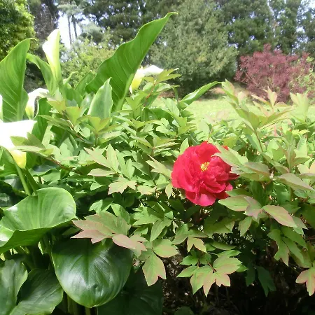 Bed & Breakfast Lieti Colli Porto Recanati